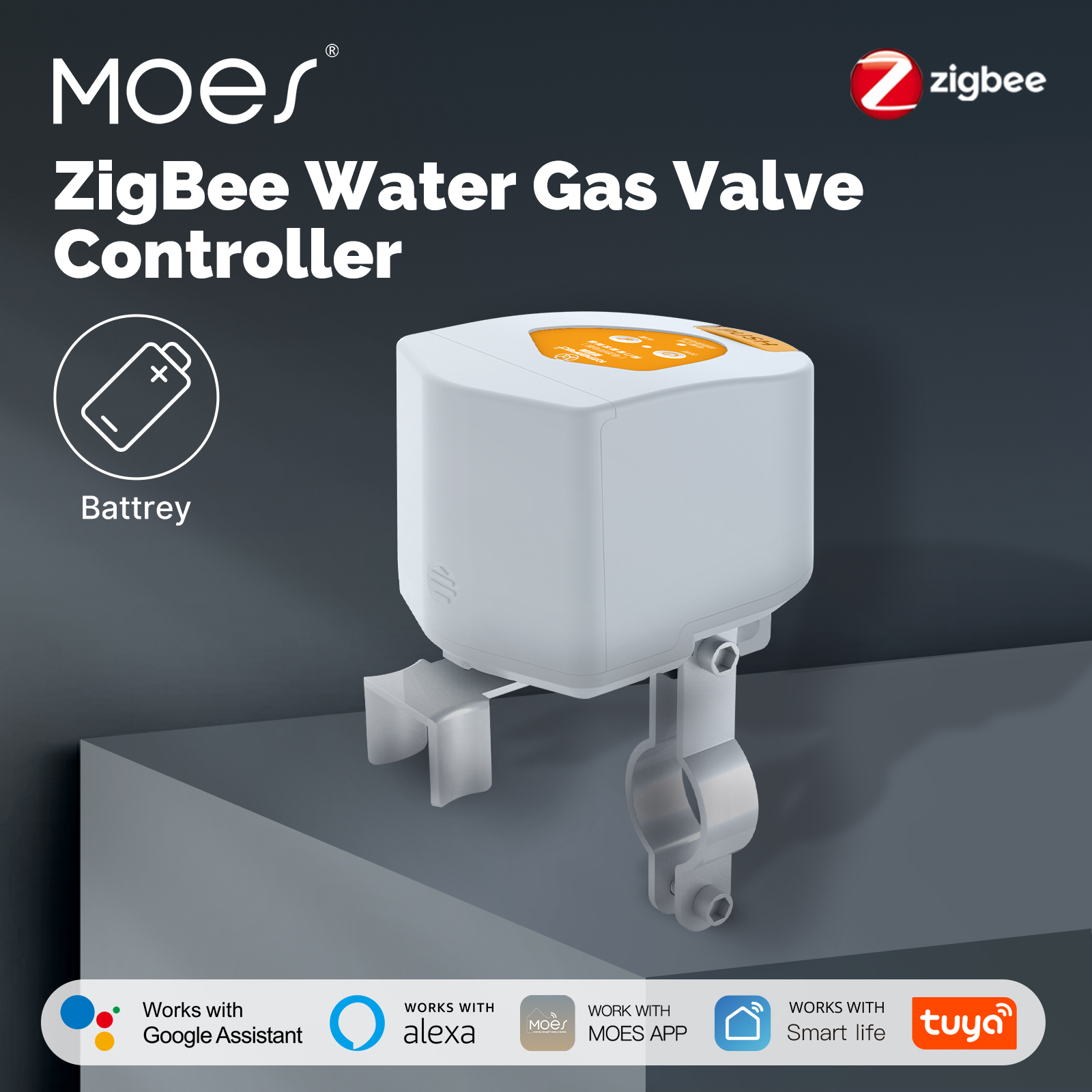 Smart Home Voice Assistant - MOES Tuya ZigBee Smart battery Water