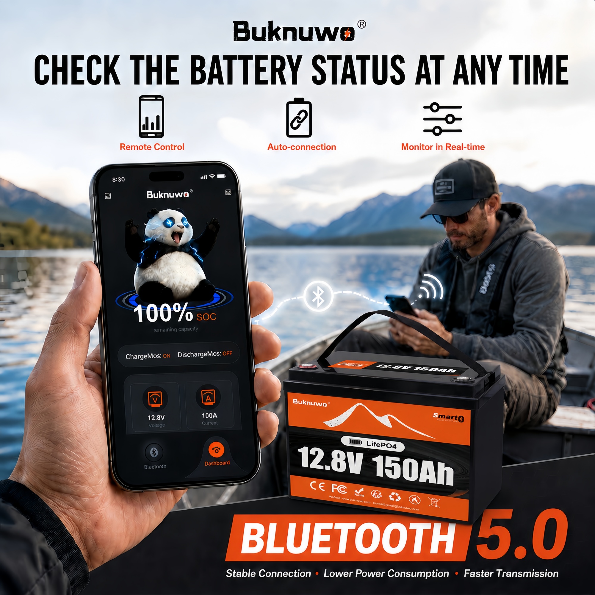 Smart 12V/12.8V 150Ah Bluetoot - огляд і ціна Smart Home Outdoor