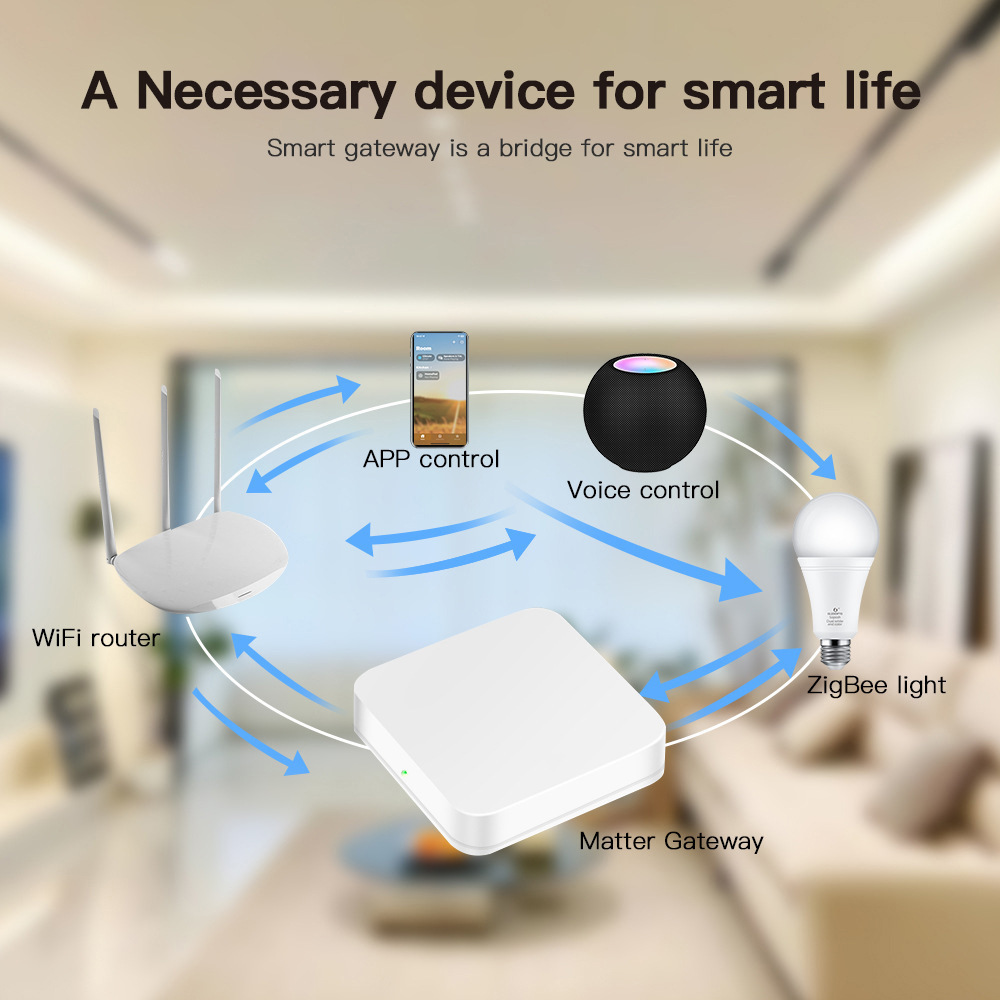 Matter Wired Gateway – Multi-P - огляд і ціна Smart Home Hub Samsung