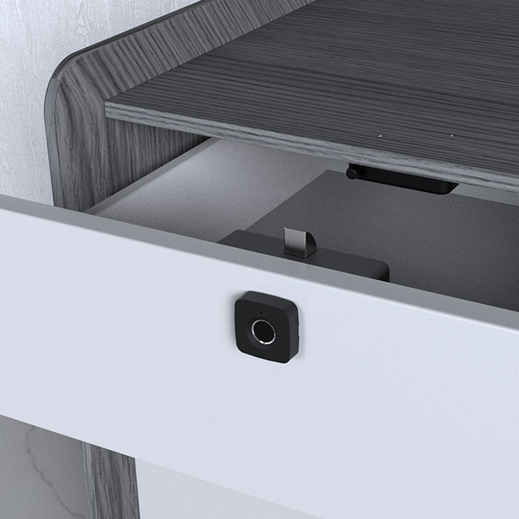 Fingerprint Lock Keyless Cabin - огляд і ціна Smart Door Lock
