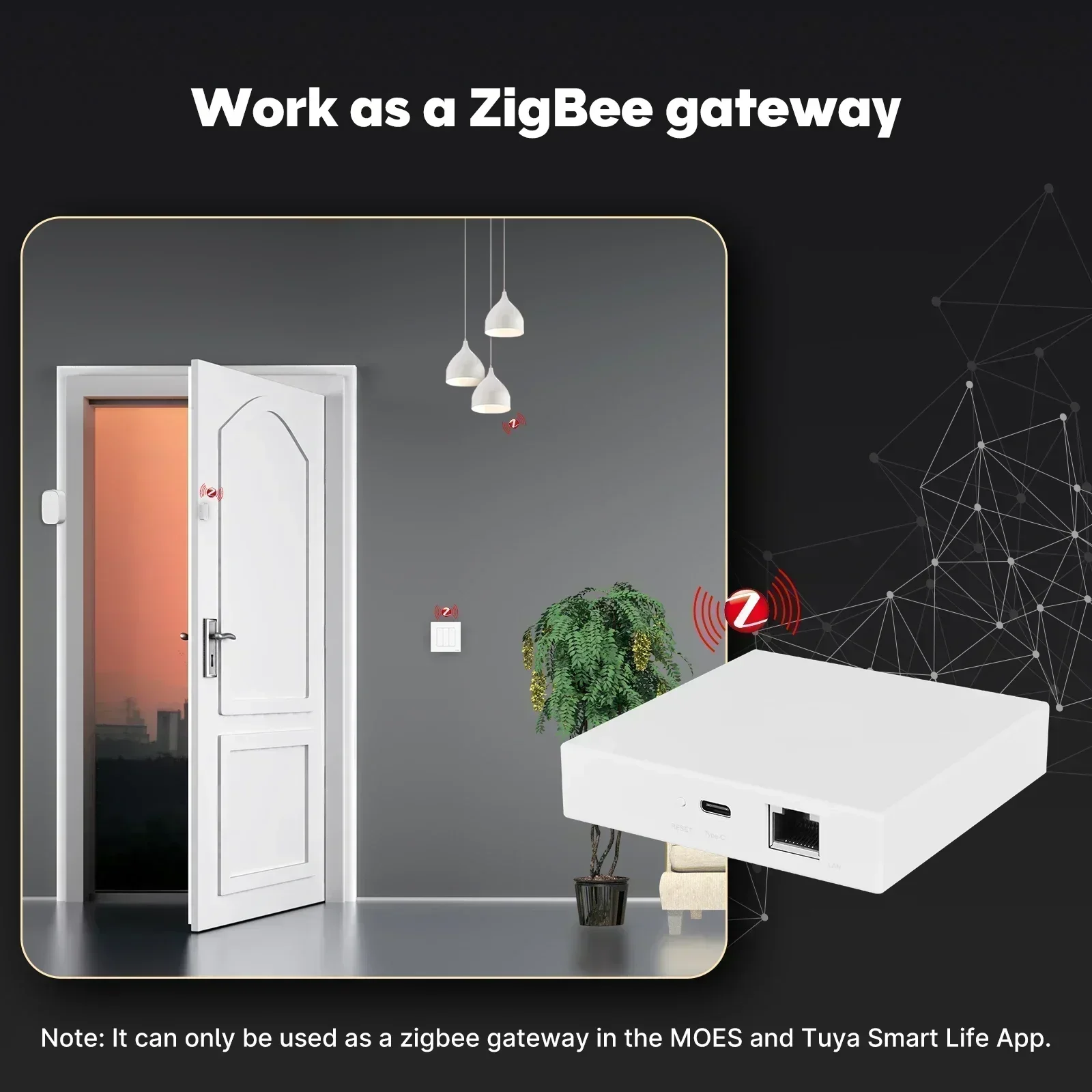 MOES Tuya Zigbee Matter Thread - огляд і ціна Smart Home Voice Assistant