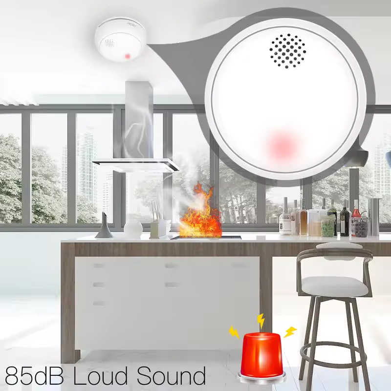 MOES ZigBee Smart Wireless Smo - огляд і ціна Smart Home Kitchen