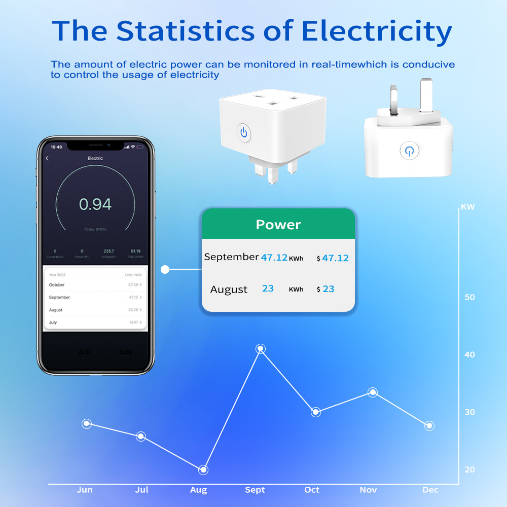 Tuya Smart Socket 16A/20A WiFi - огляд і ціна Smart Home Voice Assistant