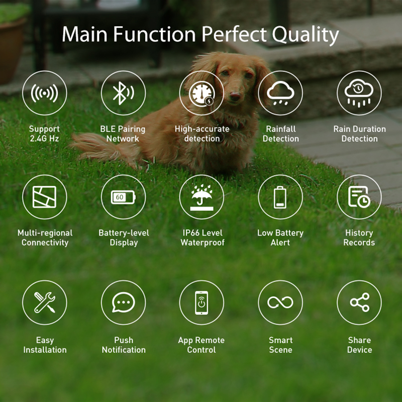 WiFi Rain Sensor Rainfall Dura - огляд і ціна Smart Home Outdoor
