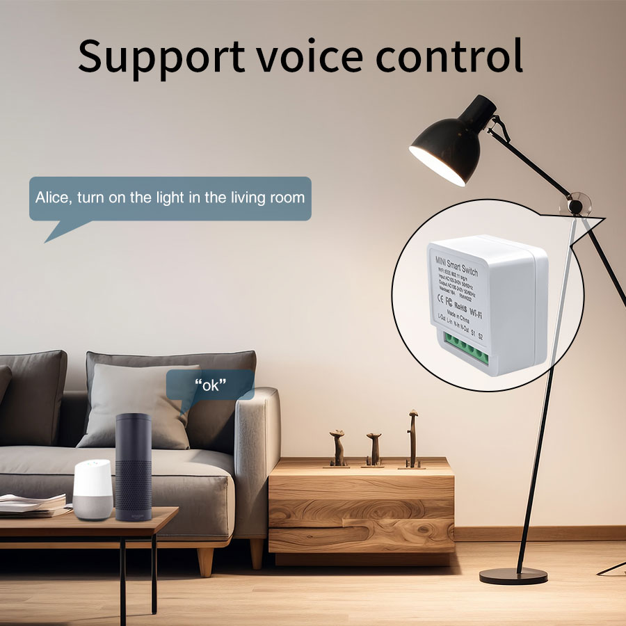 16A/20A WiFi Mini Smart Switch - огляд і ціна Smart Home Voice Assistant