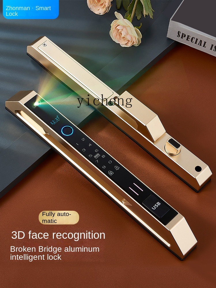 cc29Automatic Broken Bridge Al - огляд і ціна Smart Door Lock