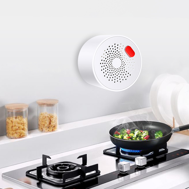 Tuya Smart Home Wifi Natural G - огляд і ціна Smart Home Outdoor