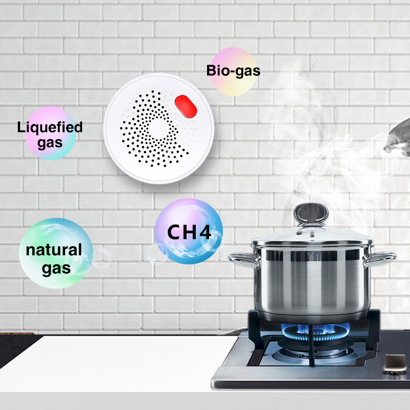 Tuya Smart Home Wifi Natural G - огляд і ціна Smart Home Outdoor